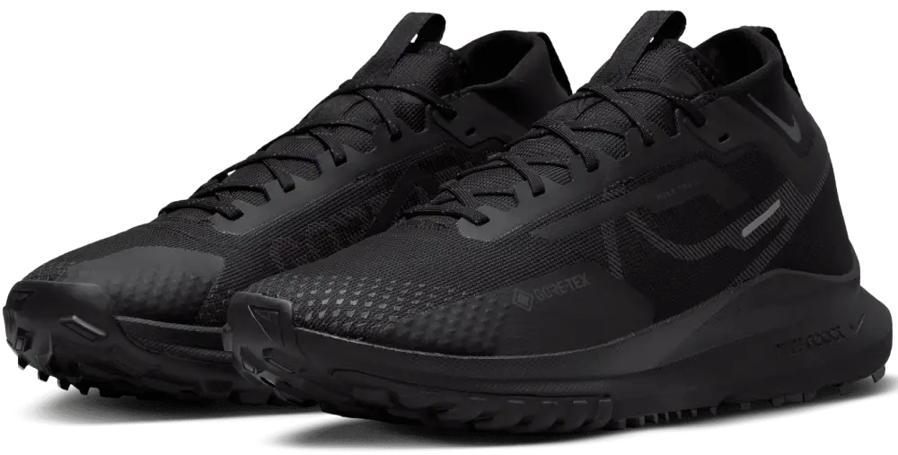 Nike Pegasus Trail 4 GORE-TEX