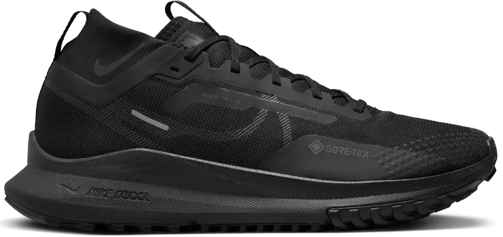 Nike Pegasus Trail 4 GORE-TEX