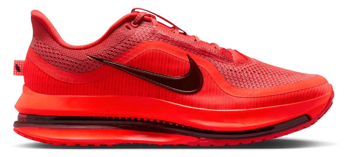 Nike Pegasus Premium