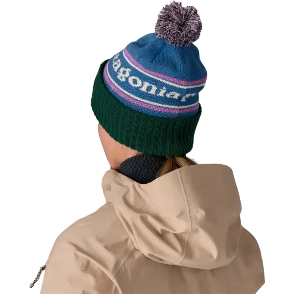 Patagonia Powder Town Beanie