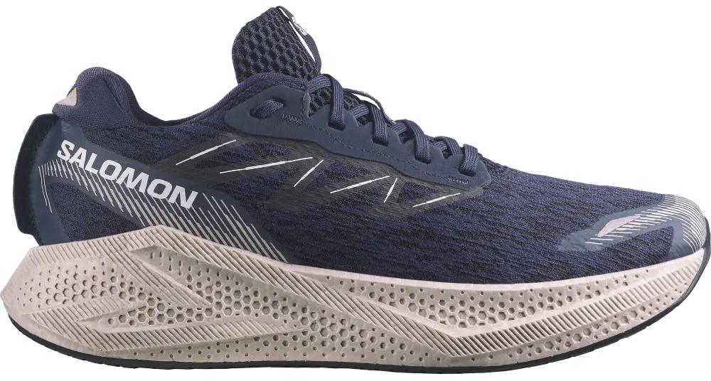 Salomon Aero Glide 4