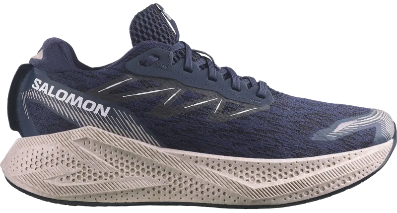 Salomon Aero Glide 4