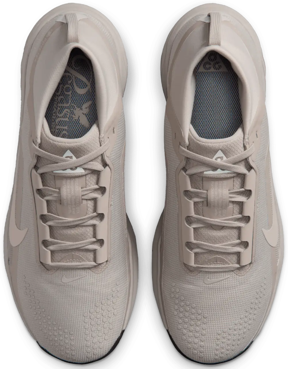 Nike ACG Pegasus Trail GTX