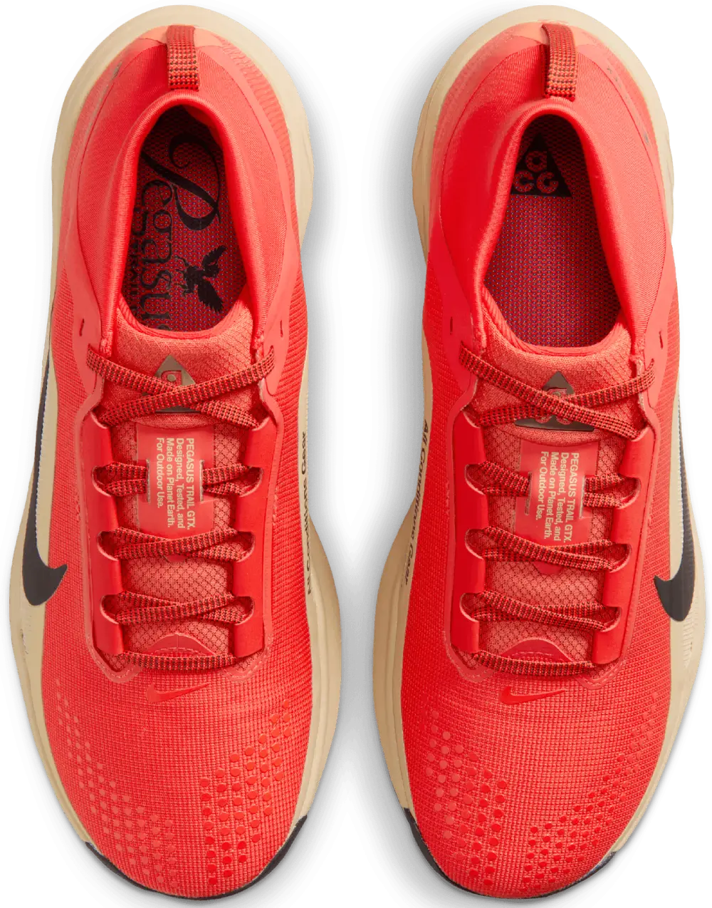 Nike ACG Pegasus Trail GTX