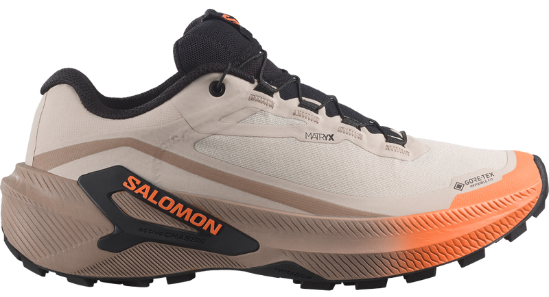 Salomon Genesis 2 GTX