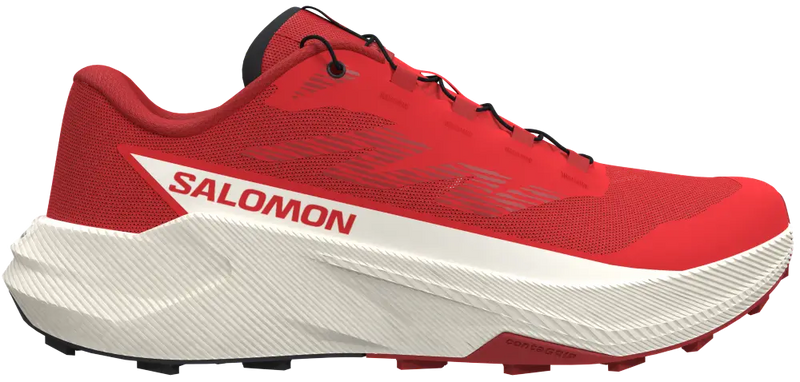 Salomon Pulsar