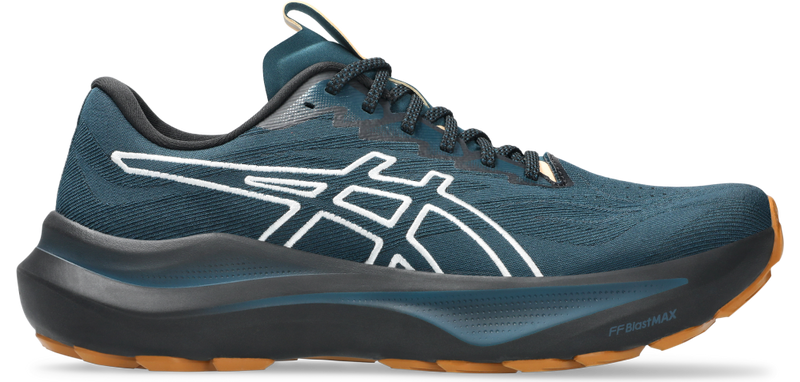 Asics Gt 2000 14 Tr
