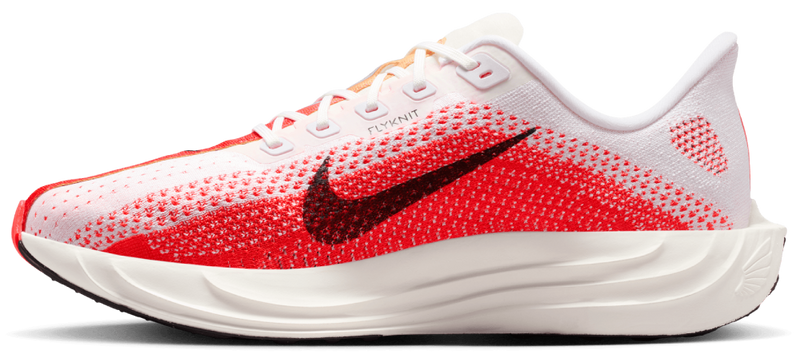 Nike Pegasus Plus - second image