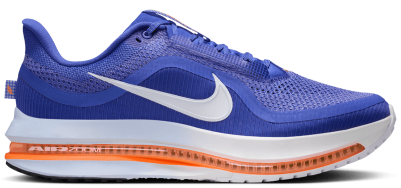 Nike Pegasus Premium