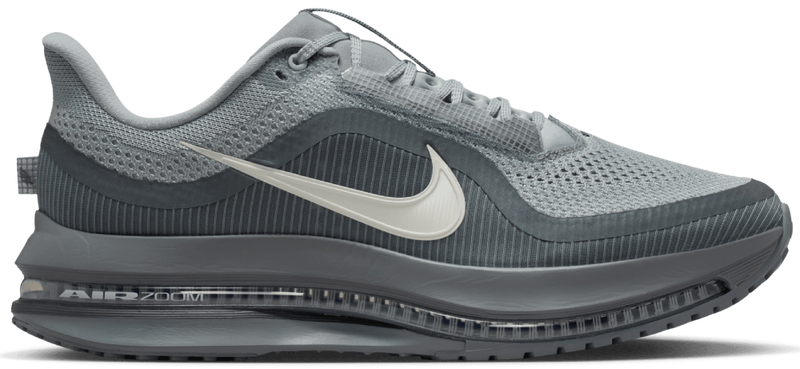 Nike Pegasus Premium