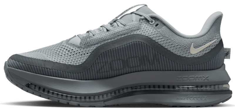 Nike Pegasus Premium - second image