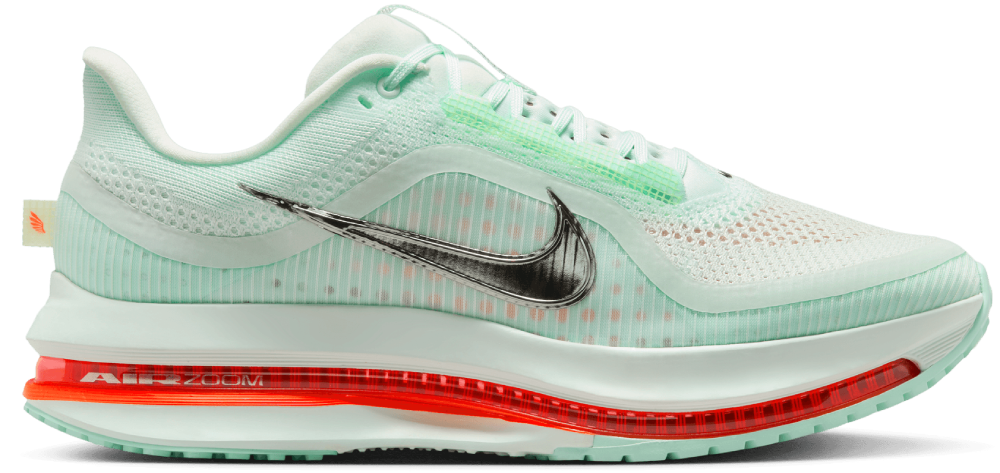 Nike Pegasus Premium