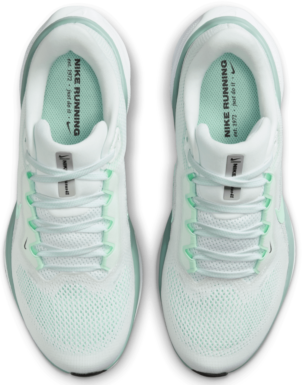 Nike W Pegasus 41