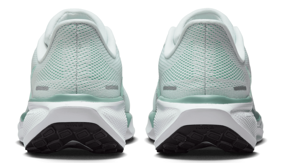Nike W Pegasus 41