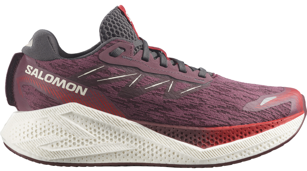Salomon Aero Glide 4