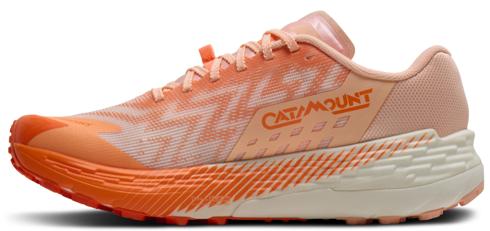 Brooks Catamount 4