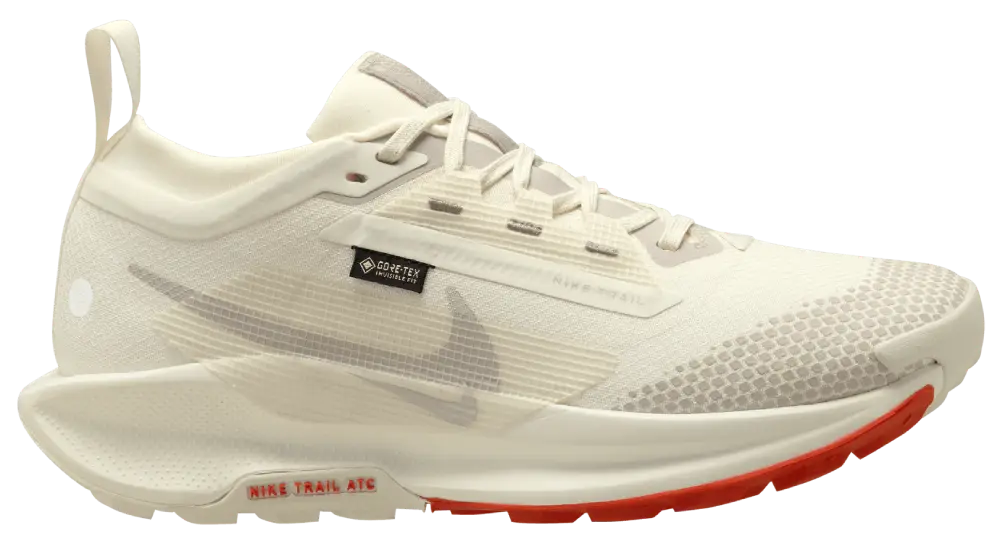 Nike Pegasus Trail 5 Goretex