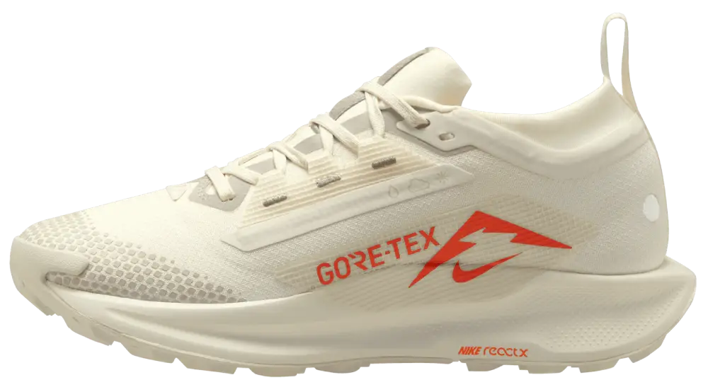 Nike Pegasus Trail 5 Goretex - second image