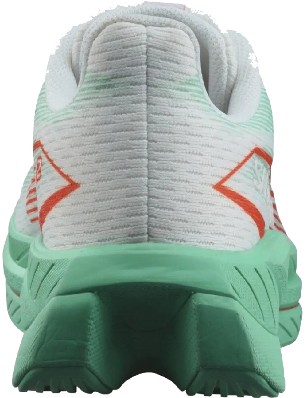 Salomon Spectur 2 W