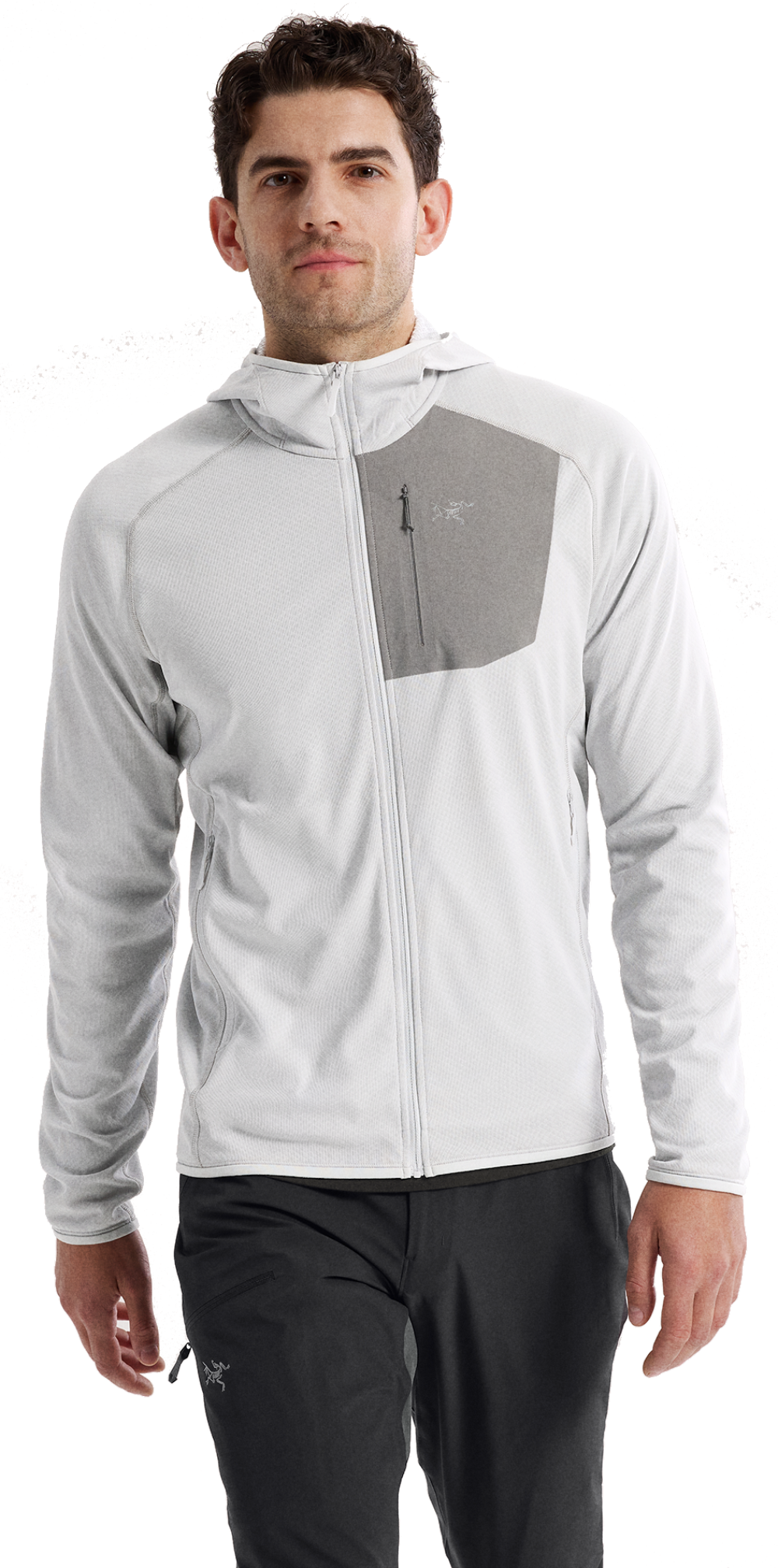 Arc'teryx Delta Hoody M