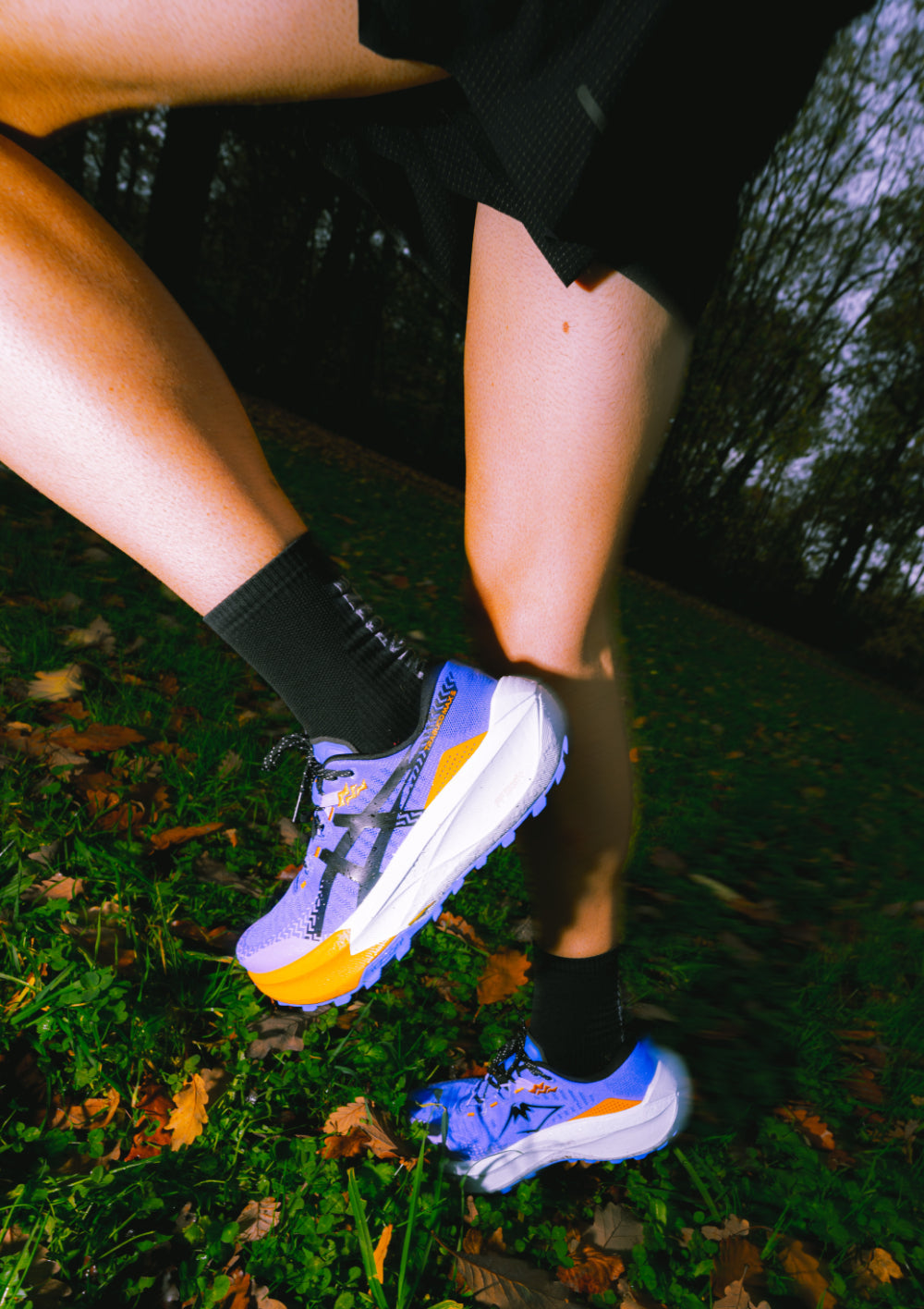 Test nouvelle Trabuco Max 5 : la machine japonaise prête à avaler les kilomètres