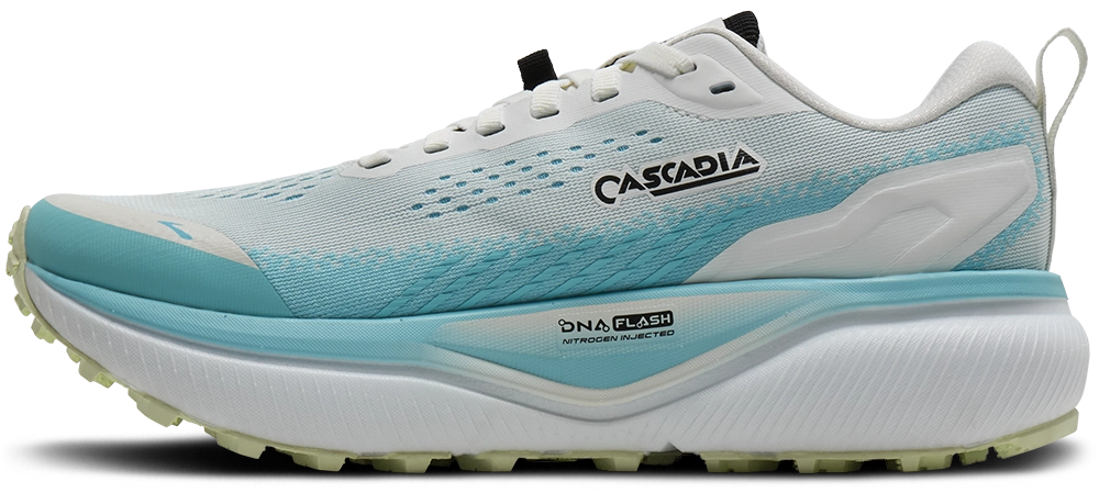 Brooks Cascadia 20