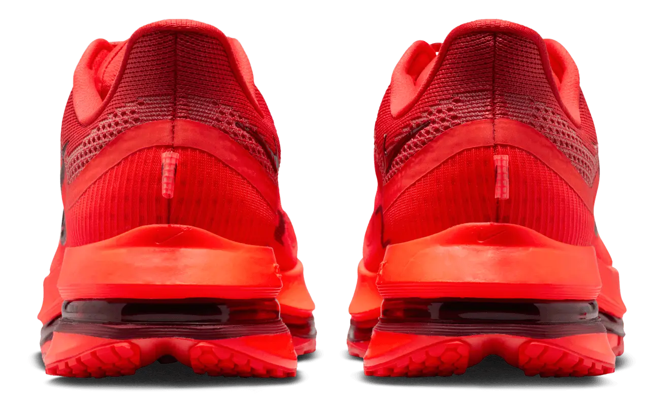 Nike Pegasus Premium