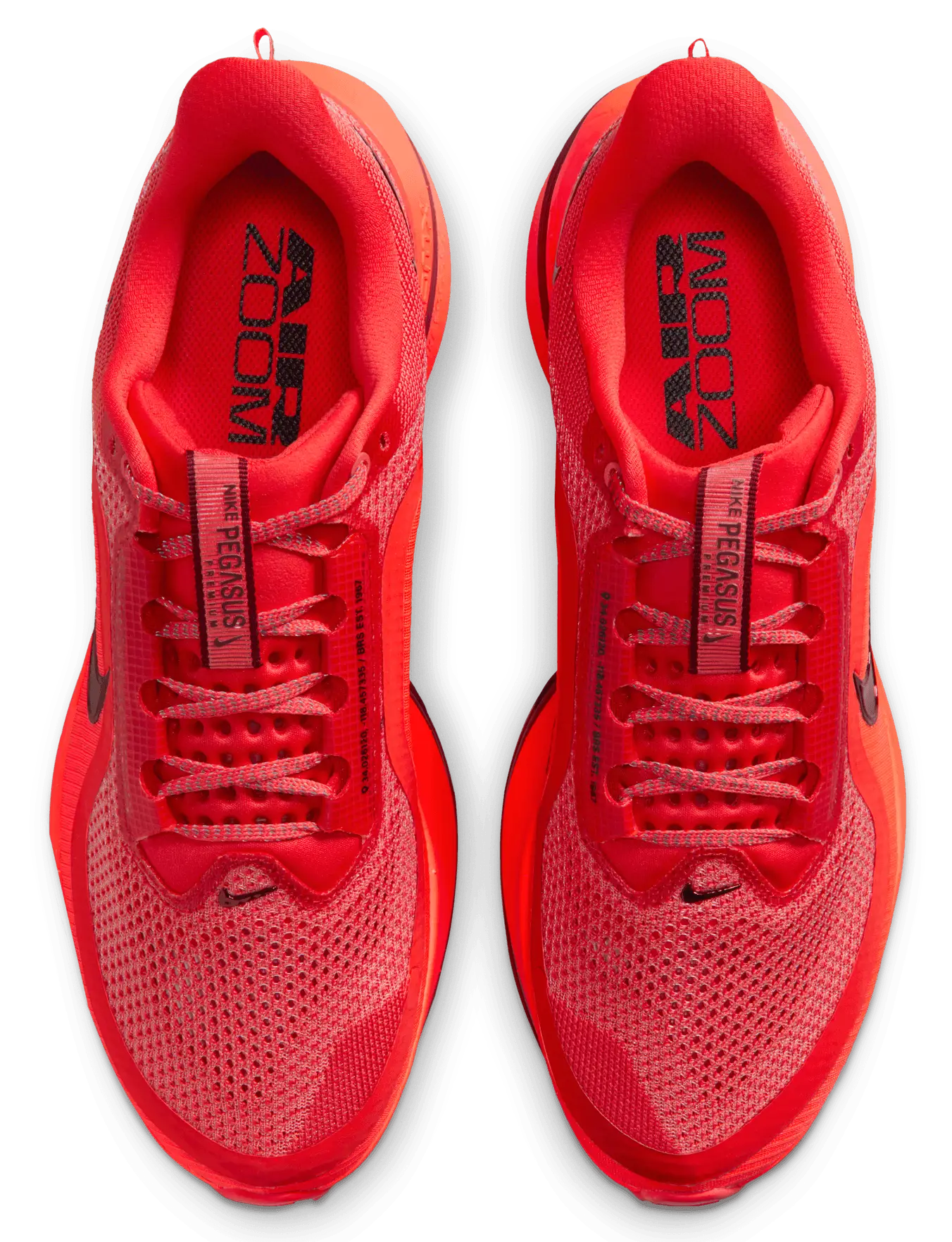 Nike Pegasus Premium