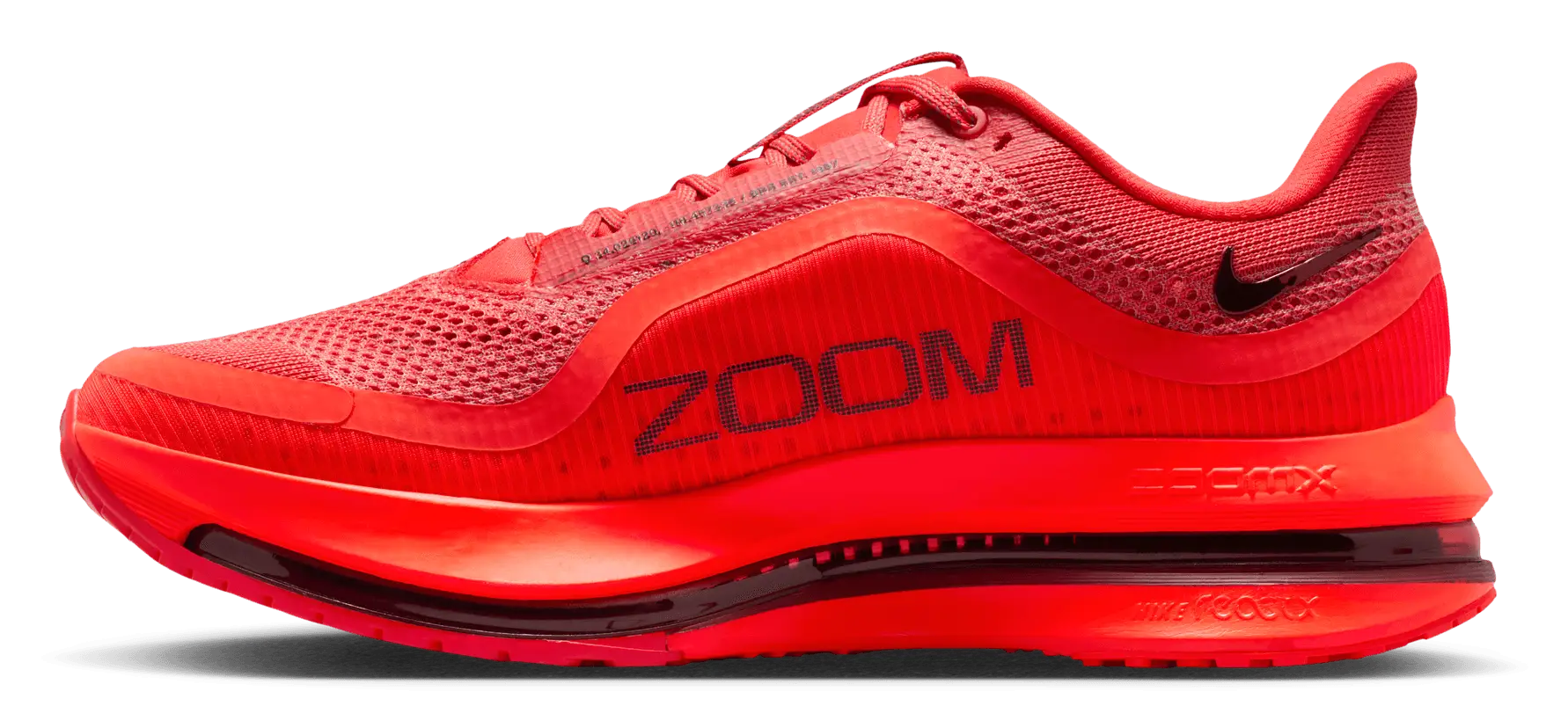 Nike Pegasus Premium