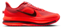 Nike Pegasus Premium