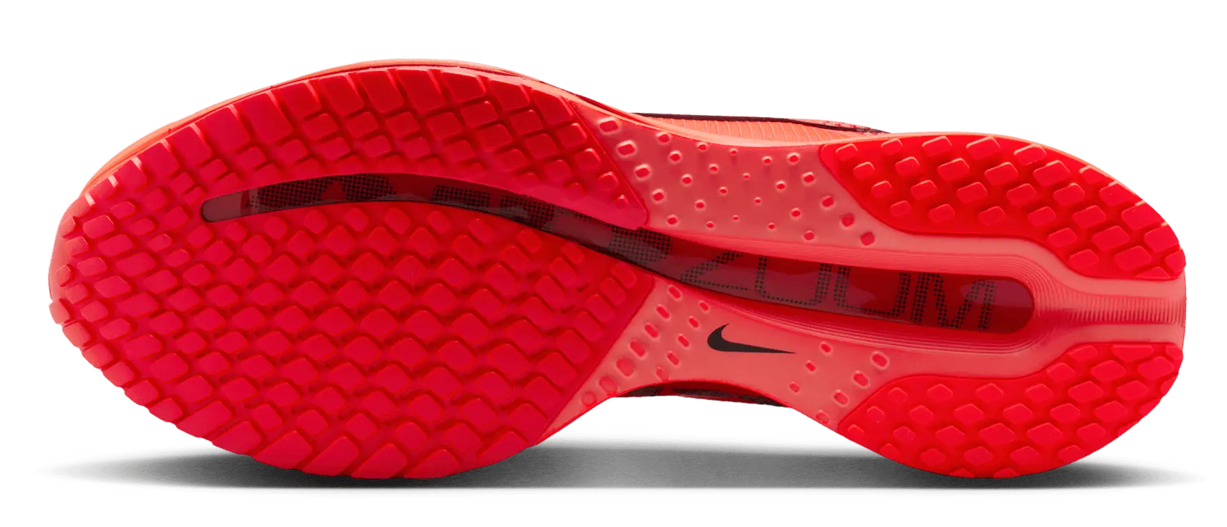 Nike Pegasus Premium