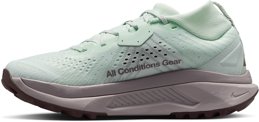 Nike Acg Zegama Chaussure
