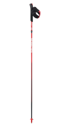 Salomon Poles S Lab Ultra Carbon