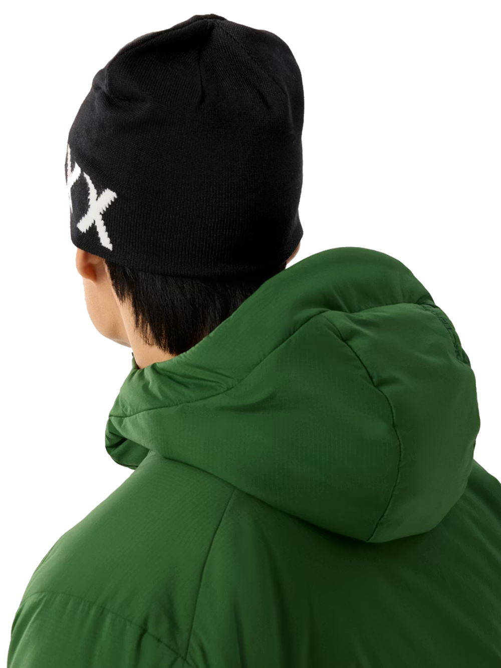 Arc'teryx Word Head Toque Orca