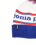 Bonnet Patagonia Powder Town Beanie