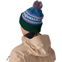 Patagonia Powder Town Beanie