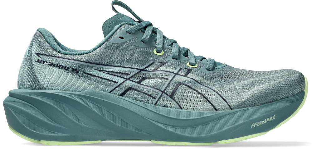 Asics Gt-2000 15
