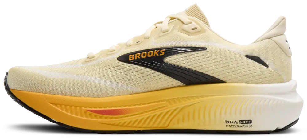 Brooks Ghost 18