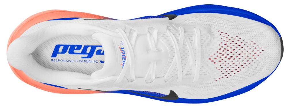 Nike Pegasus 42