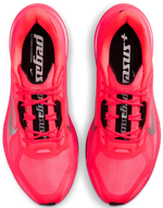 Nike Pegasus Plus 2