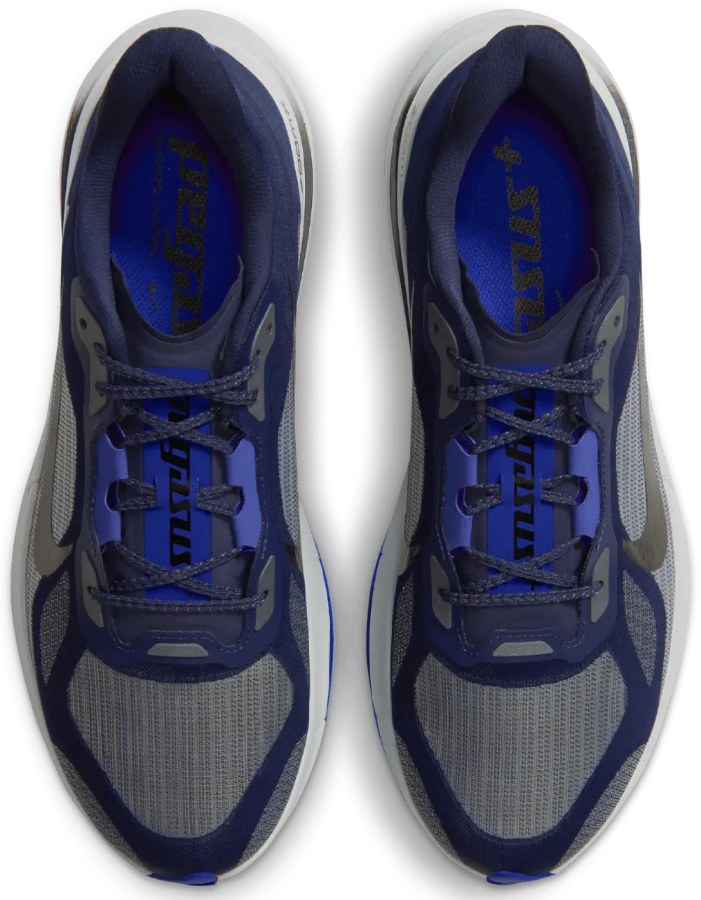 Nike Pegasus Plus 2