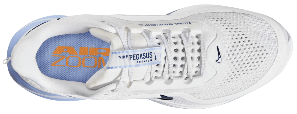Nike Pegasus Premium
