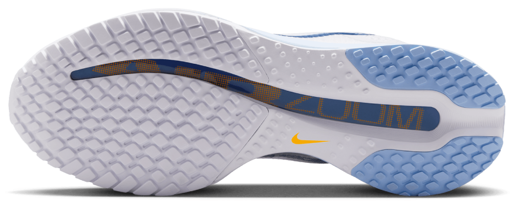 Nike Pegasus Premium