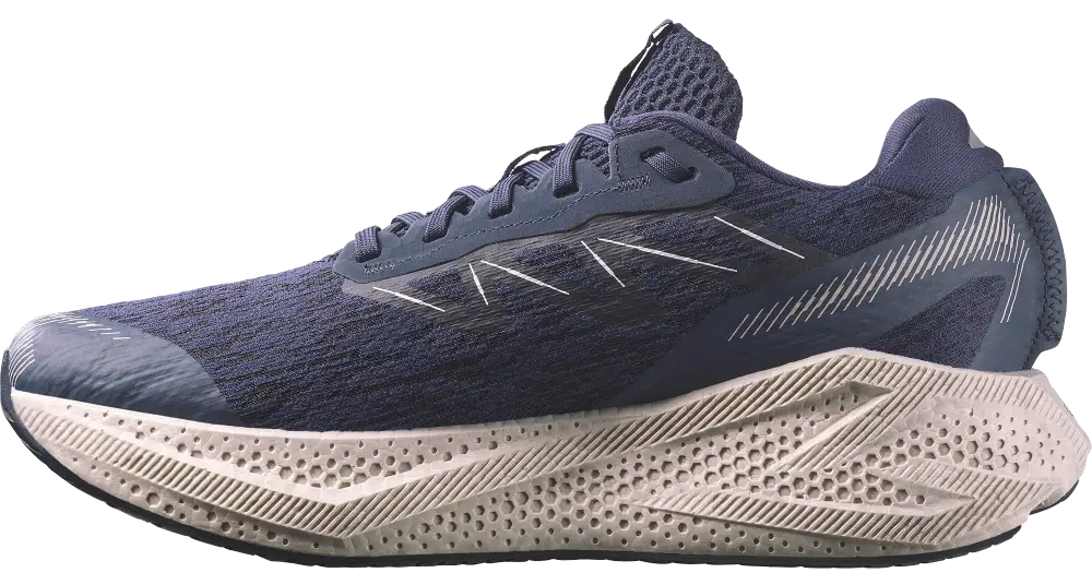 Salomon Aero Glide 4