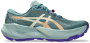Asics Trabuco 14