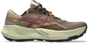Asics Trabuco 14 GTX