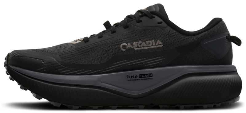 Brooks Cascadia 20 GTX - second image