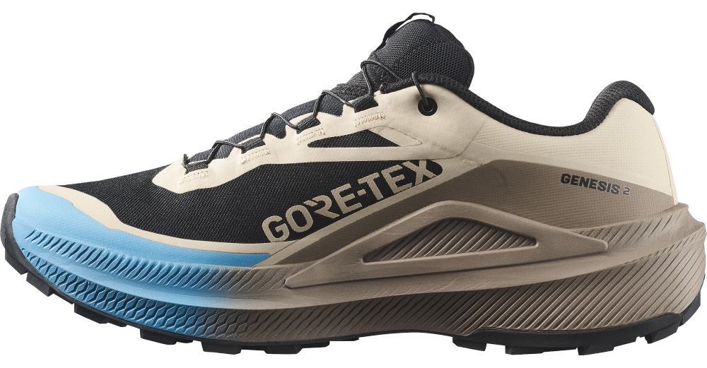 Salomon Genesis 2 Gtx