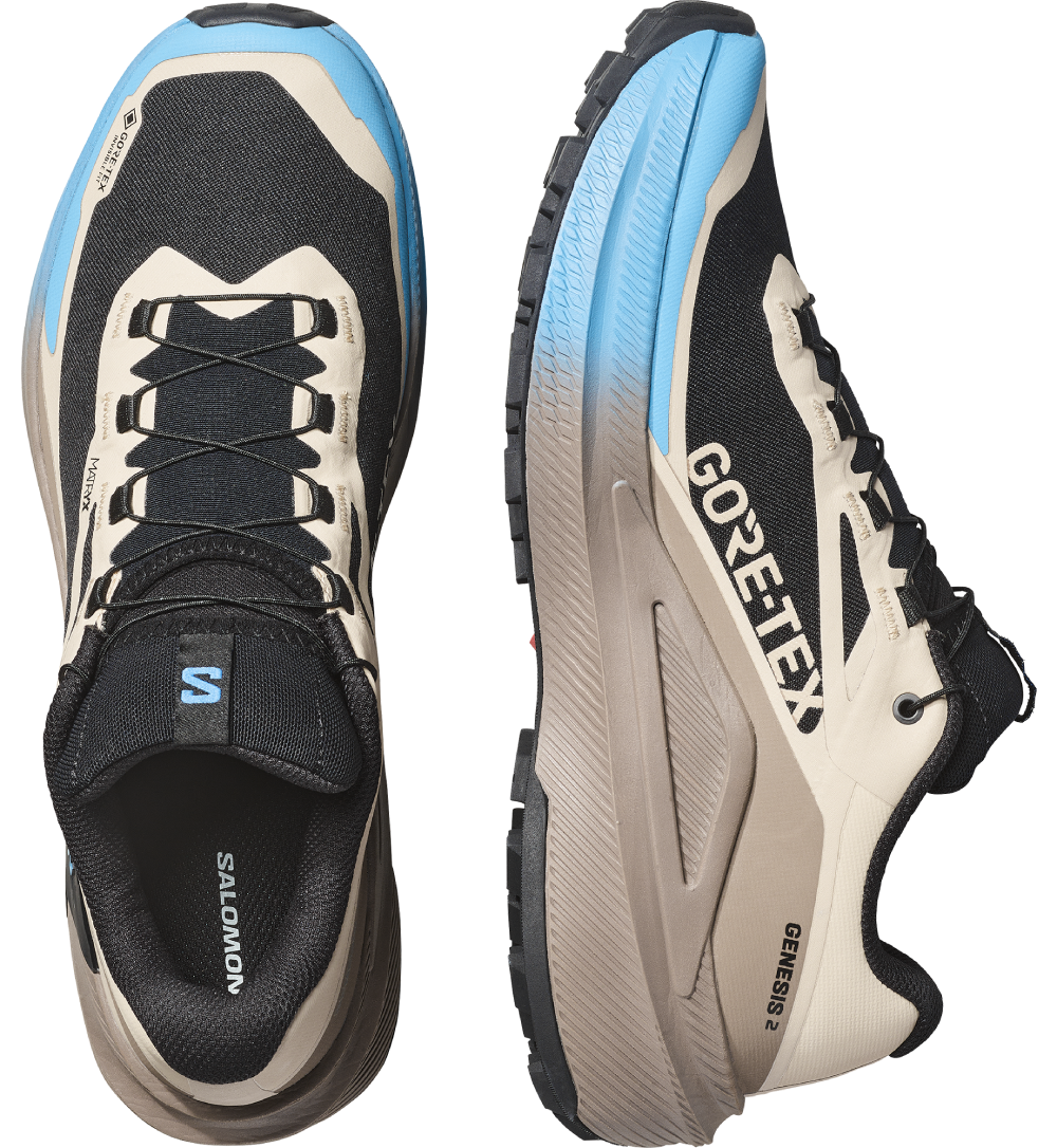 Salomon Genesis 2 Gtx