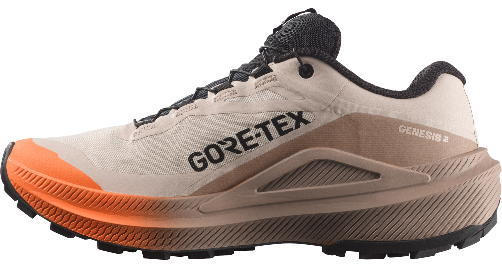 Salomon Genesis 2 GTX
